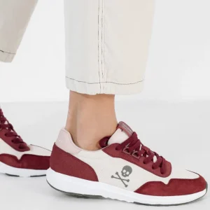 SNEAKERS HARRY