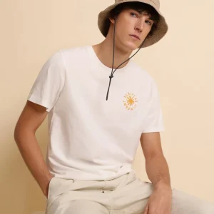 CAMISETA PRINT PALMERA
