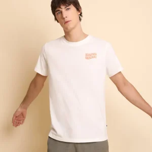 CAMISETA PRINT TRASERO