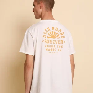 CAMISETA PRINT SOL