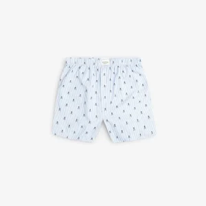 BOXER CALAVERAS