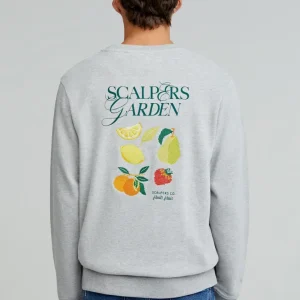 SUDADERA BORDADO FRUTAS