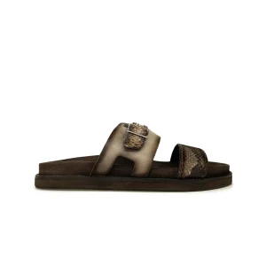 Sandalia Hombre Cuadra 4M7PBNI Python